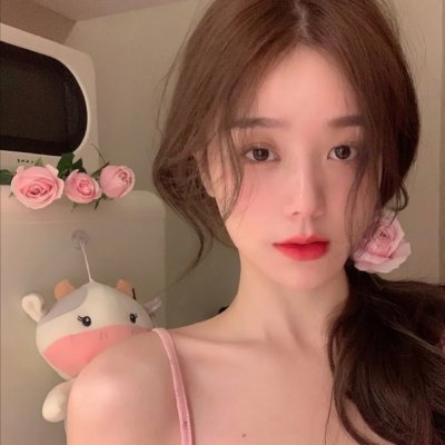 狐妖小红娘日语版